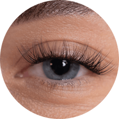 Natural Lashes
