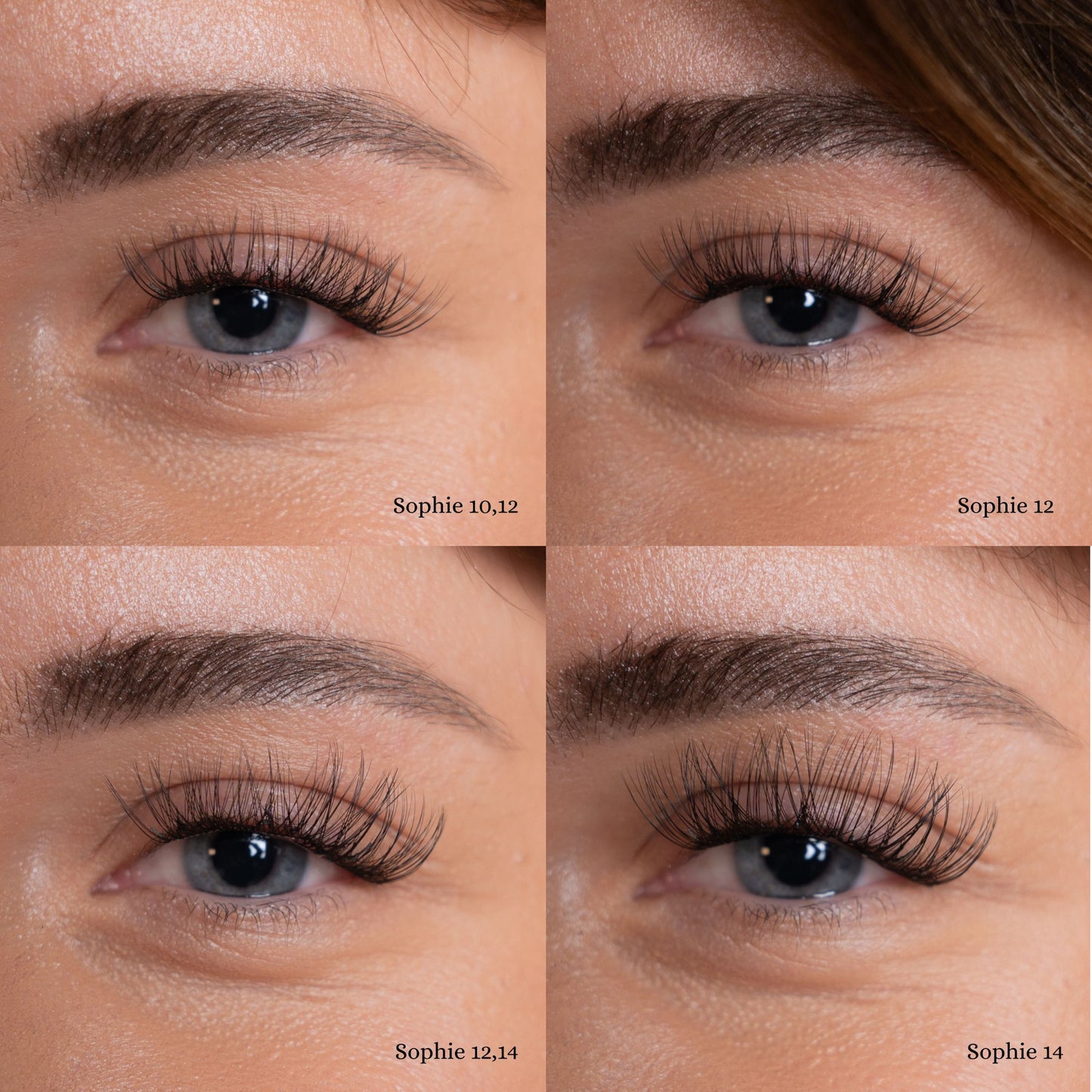 Sophie | Style: Medium