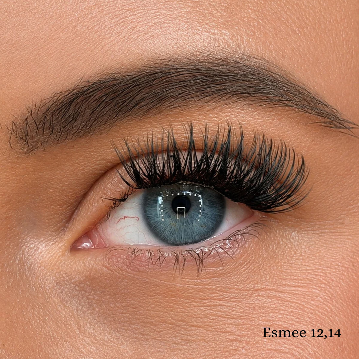 Esmee cluster wimpers close-up 12mm en 14mm